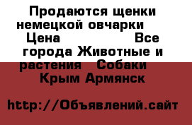 Продаются щенки немецкой овчарки!!! › Цена ­ 6000-8000 - Все города Животные и растения » Собаки   . Крым,Армянск